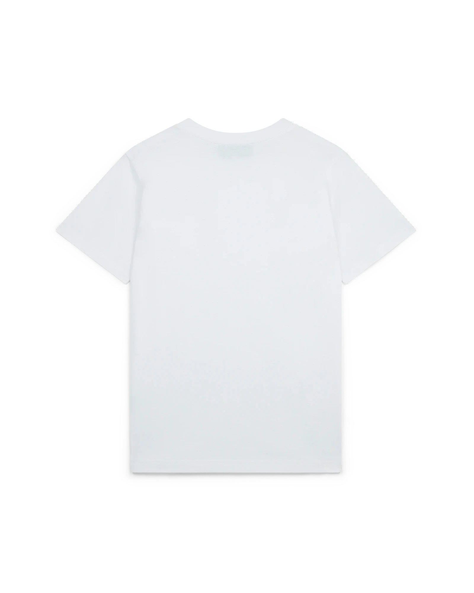 MS24-JTS-001-20_02_d70bbb9c- MS24-JTS-001-20_02_d70bbb9c-