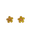 Flower Earrings