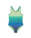 Children's Gradient Swimsuit