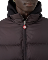 Gradient Quilted Puffer Jacket