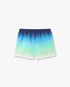 Blue & Green Gradient Jacquard Swim Shorts