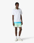 Blue & Green Gradient Jacquard Swim Shorts