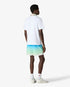 Blue & Green Gradient Jacquard Swim Shorts