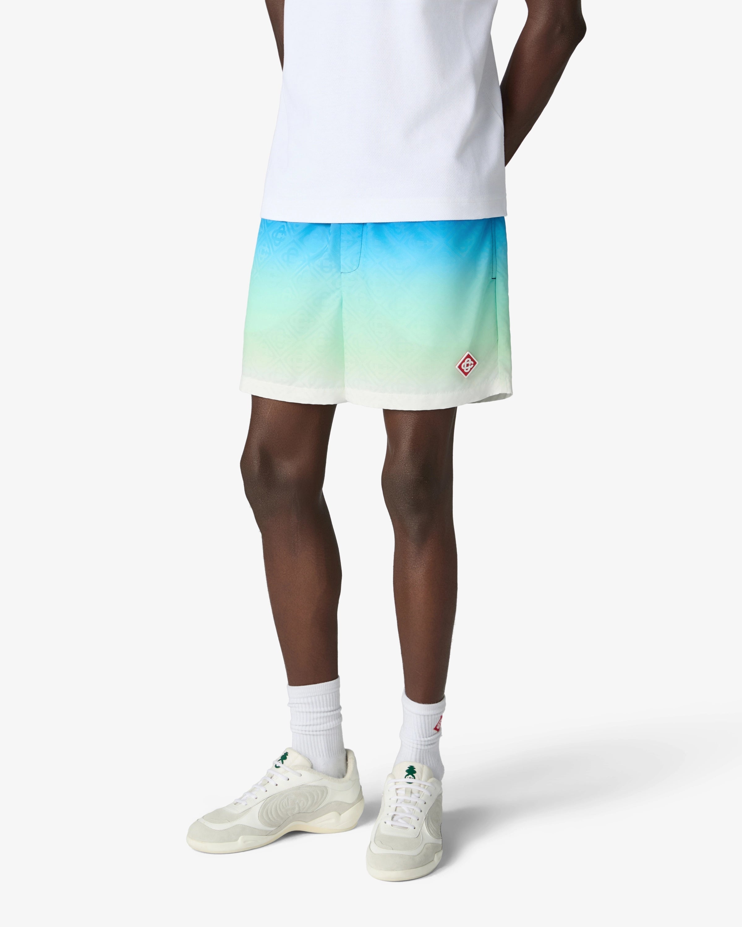 Blue & Green Gradient Jacquard Swim Shorts