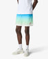 Blue & Green Gradient Jacquard Swim Shorts