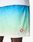Blue & Green Gradient Jacquard Swim Shorts