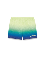 Gradient Swim Shorts