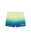 Gradient Swim Shorts