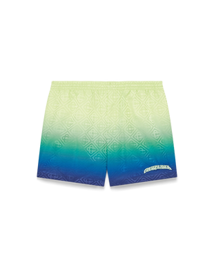 Gradient Swim Shorts