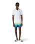 Gradient Swim Shorts