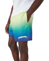 Gradient Swim Shorts