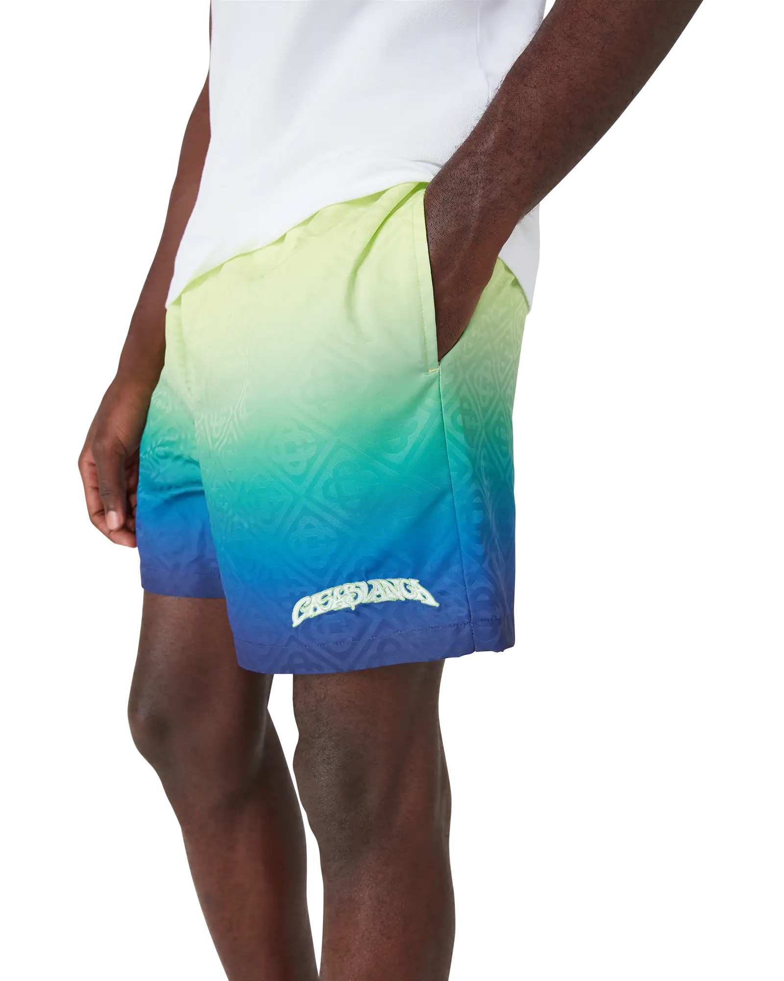 Gradient Swim Shorts
