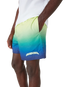 Gradient Swim Shorts