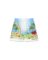 Aloha Silk Shorts