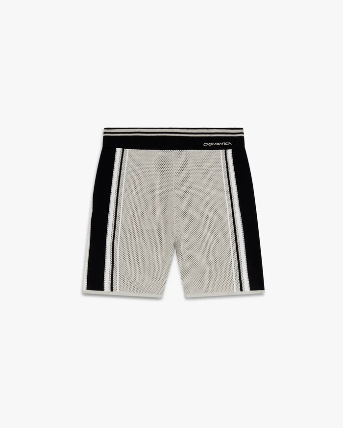 Metallic Mesh Stripe Shorts