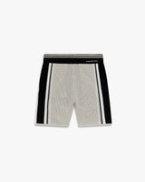 Metallic Mesh Stripe Shorts