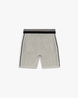 Metallic Mesh Stripe Shorts