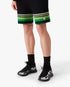 Black & Green Striped Crochet Shorts
