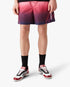 Aubergine Gradient Printed Swim Shorts