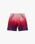 Aubergine Gradient Silk Shorts