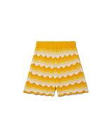 Wavy Gradient Crochet Shorts