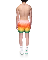 Gradient Swim Trunks