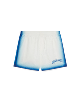 Blue Fade Swim Shorts