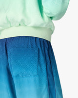 Blue & Green Gradient Monogram Jacquard Trousers