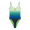 Gradient Swimsuit