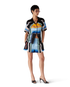 Gradient Mountain Silk Shorts